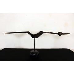 Black Bird 11