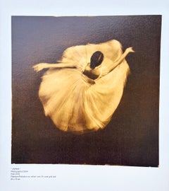 79 reproductions d'œuvres de Ian Sanderson réalisées en platine/or ou en argent et bichromate