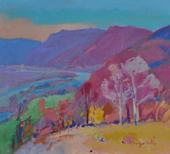 Sunny Valley Landscape Impressionism Original Oil Painting
