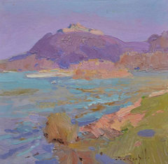 Castle. Khust Landscape Impressionism Original Oil Painting