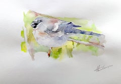 Gray Bird Watercolor on Paper Handmade Painting, One of a Kind