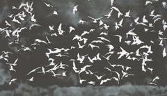 Gerhard Richter 'Vogel(1964)' 2026