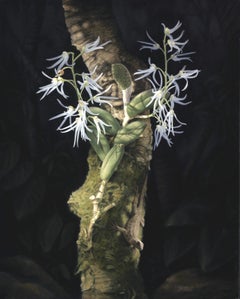 „Orchidee und Eidechse“ – zeitgenössisches realistisches botanisches Ölgemälde, 2019
