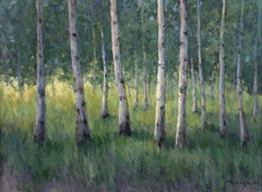 "Greens of Summer (The Assembly)" - Contemporary Aspen Grove Oil Painting, 2026