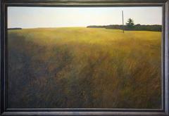 To the Fields 6