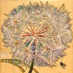 Dandelion with Bee 12