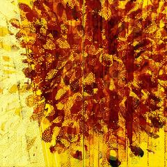 Bloom 11