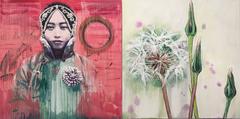 Dandelion 13 1