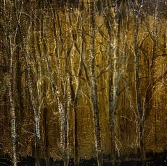 Psalm 23 abstract patterns, forest, birch tree, words of psalm