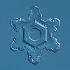 Snowflake 2015.02.25.003 
