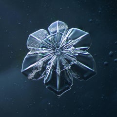 Snowflake 2014.02.09.011 