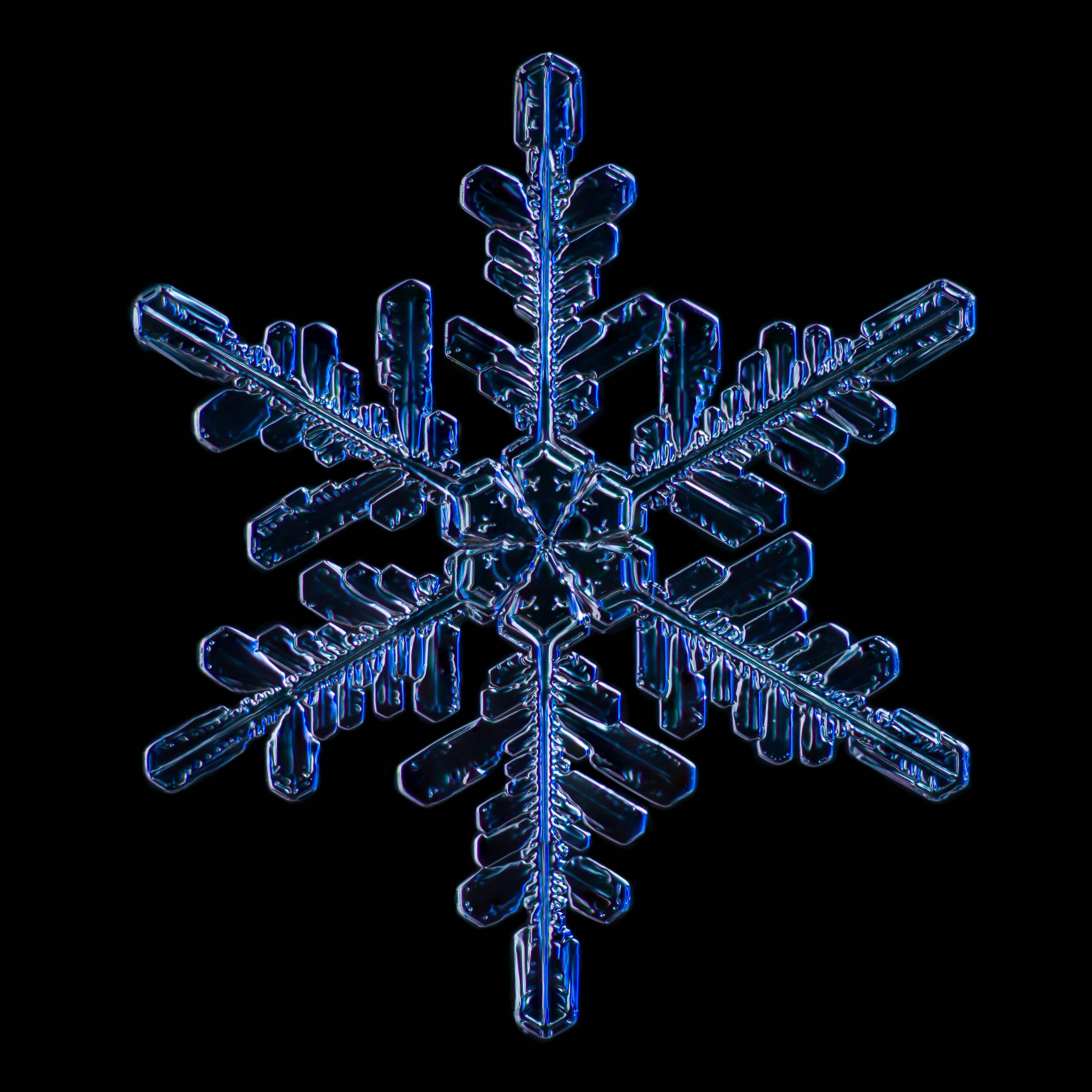 Douglas Levere Color Photograph – Schneeflocke 2015.02.02.007