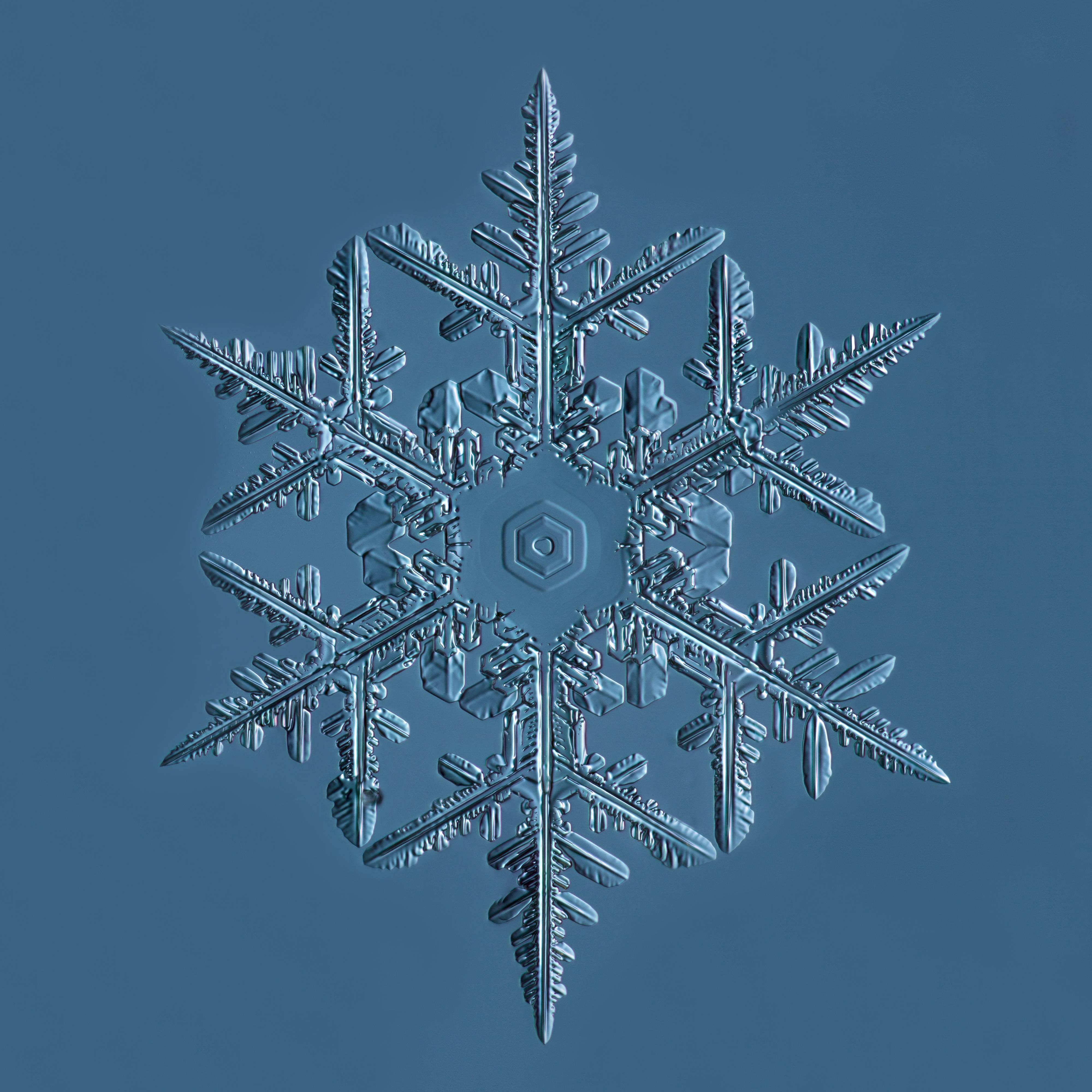 Douglas Levere Color Photograph - Snowflake 2015.02.02.001