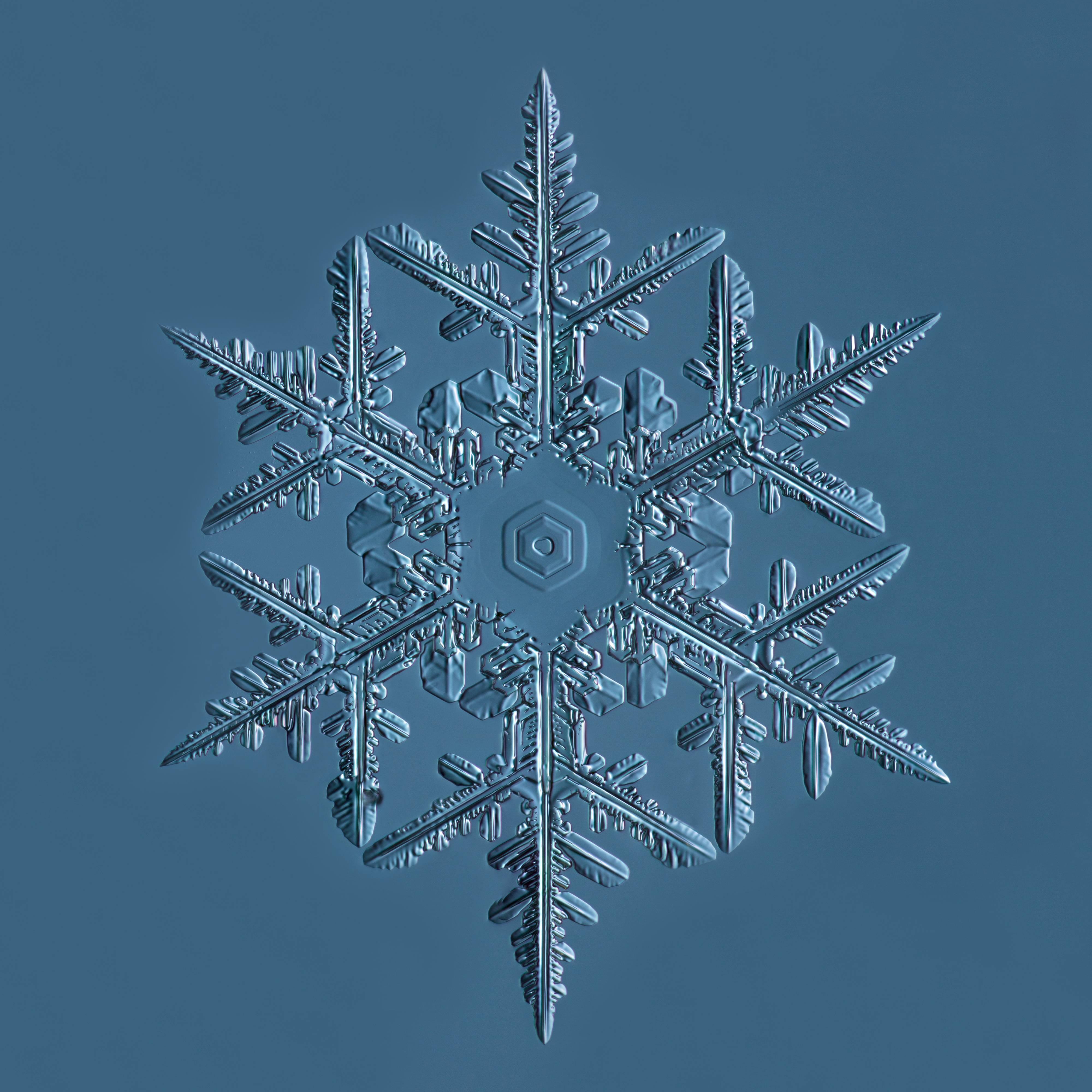 Douglas Levere Color Photograph – Schneeflocke 2015.02.02.001