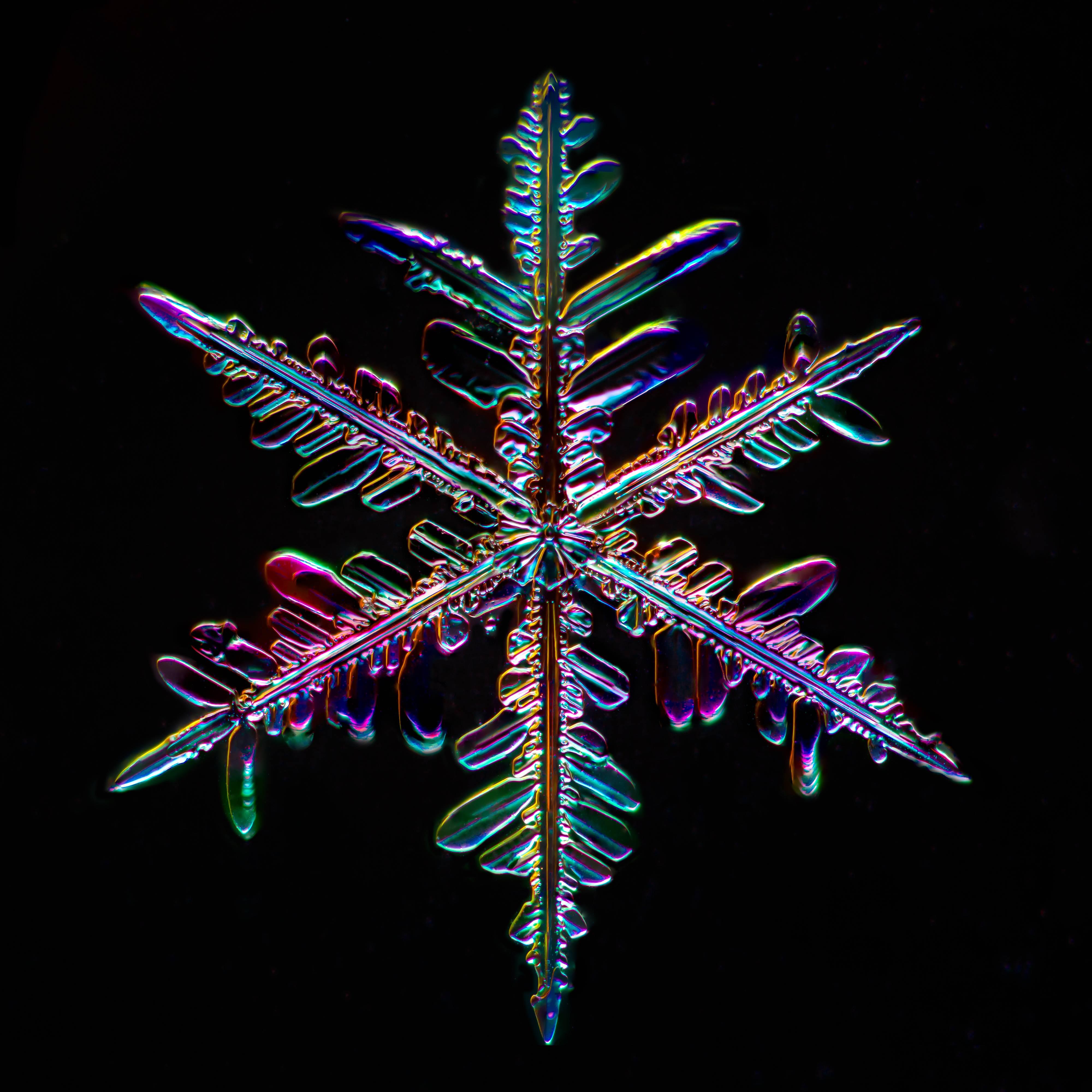 Douglas Levere Color Photograph – Schneeflocke 2015.01.25.003