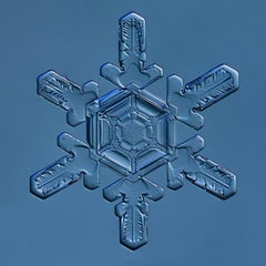 Snowflake 2014.02.22.001B