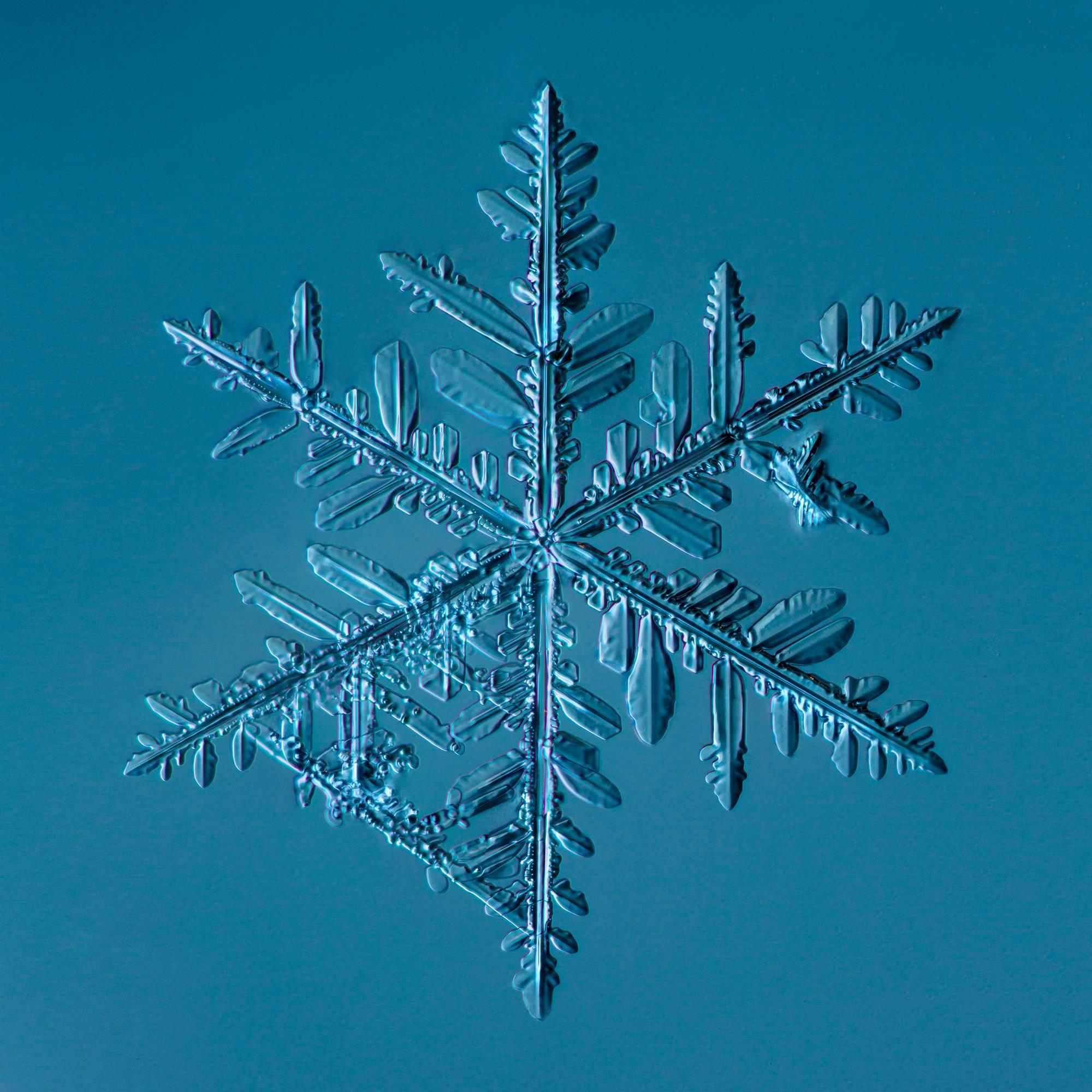 Douglas Levere Color Photograph -  Snowflake 2015.02.22.002.1