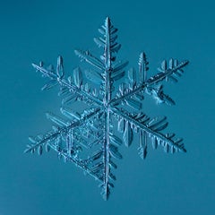  Snowflake 2015.02.22.002.1