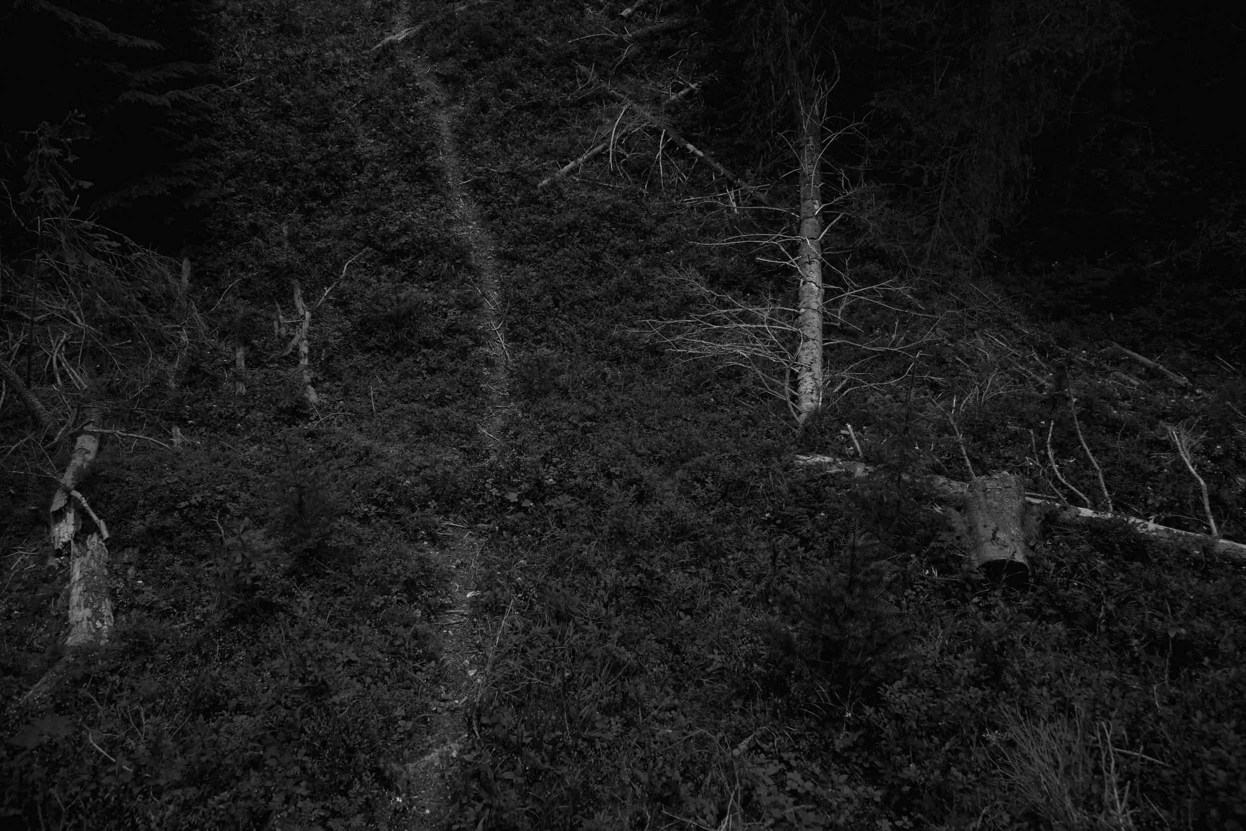 Black and White Photograph de Ken Rosenthal - Demarcación
