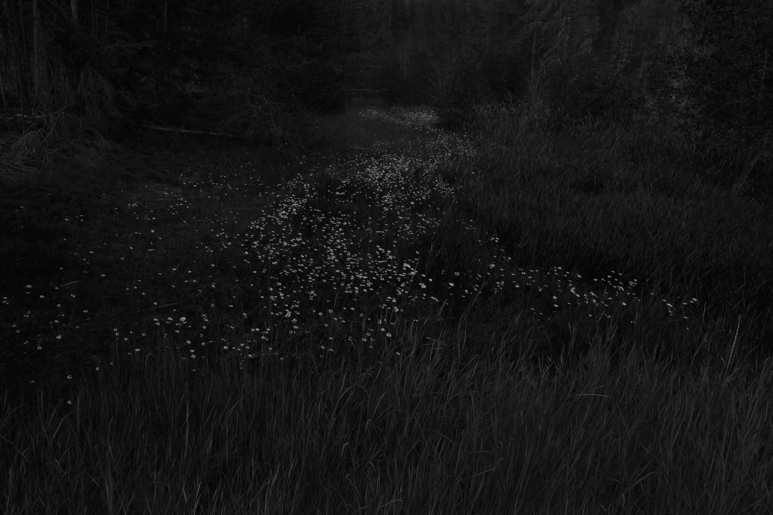 Landscape Photograph de Ken Rosenthal - Sendero