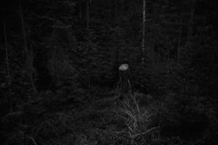 Solitario