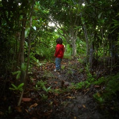 Jacob in the Spice Trees