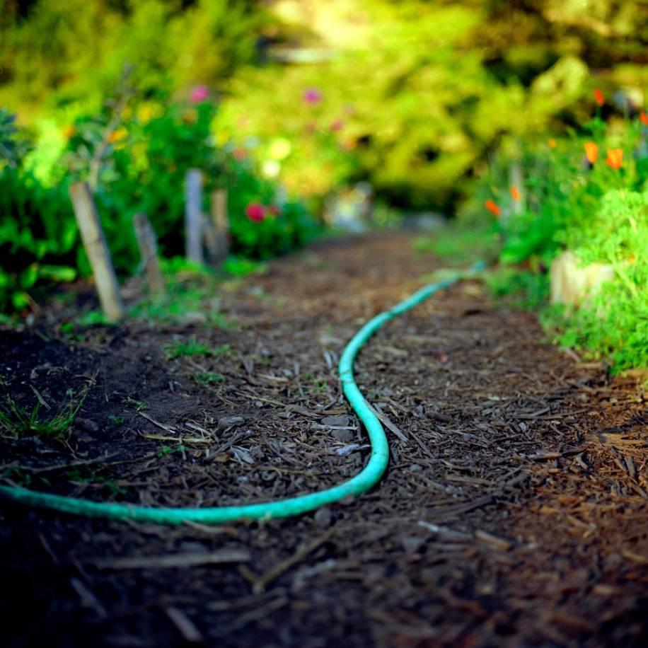 Cig Harvey Color Photograph - Hose Pipe