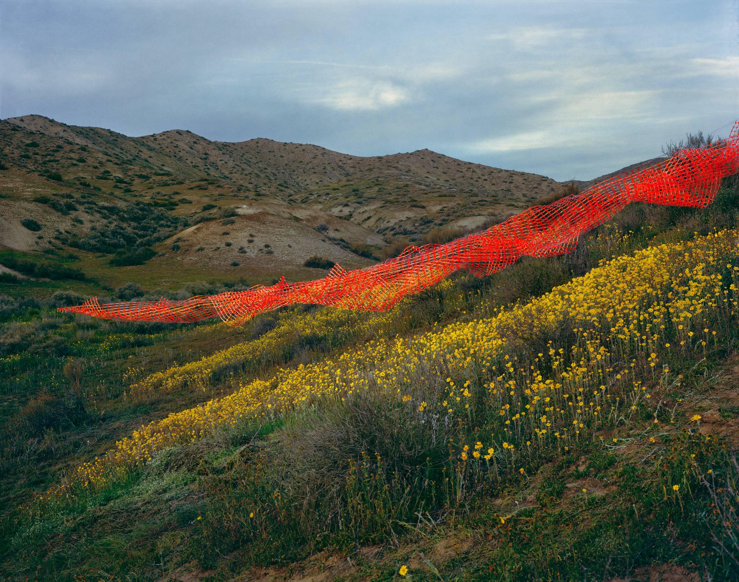 Color Photograph Thomas Jackson - Fence de sécurité, n° 1, Carrizo Plain, Californie