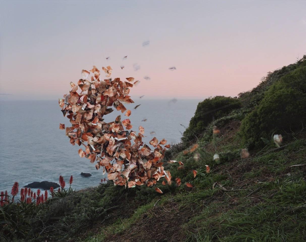 Color Photograph Thomas Jackson - Lusty Wives Vol. #81, Muir Beach, Californie