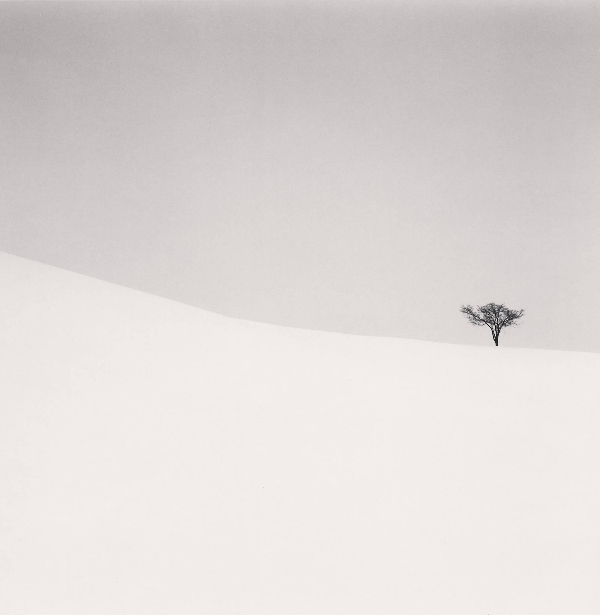 Michael Kenna Black and White Photograph - Single Tree, Mita, Hokkaido, Japan. 2007