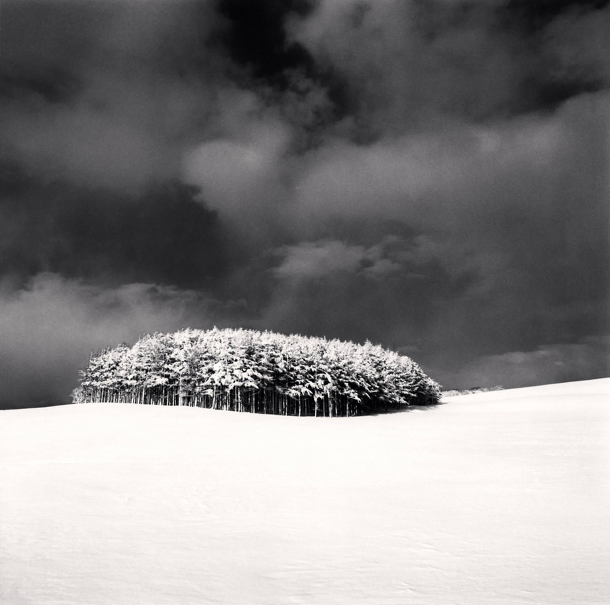 Michael Kenna Black and White Photograph - White Copse, Study 3, Wakkanai, Hokkaido, Japan. 2004