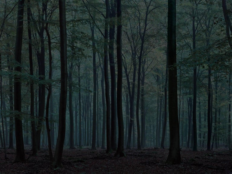 Inderin Miniarsch Wald Onanieren