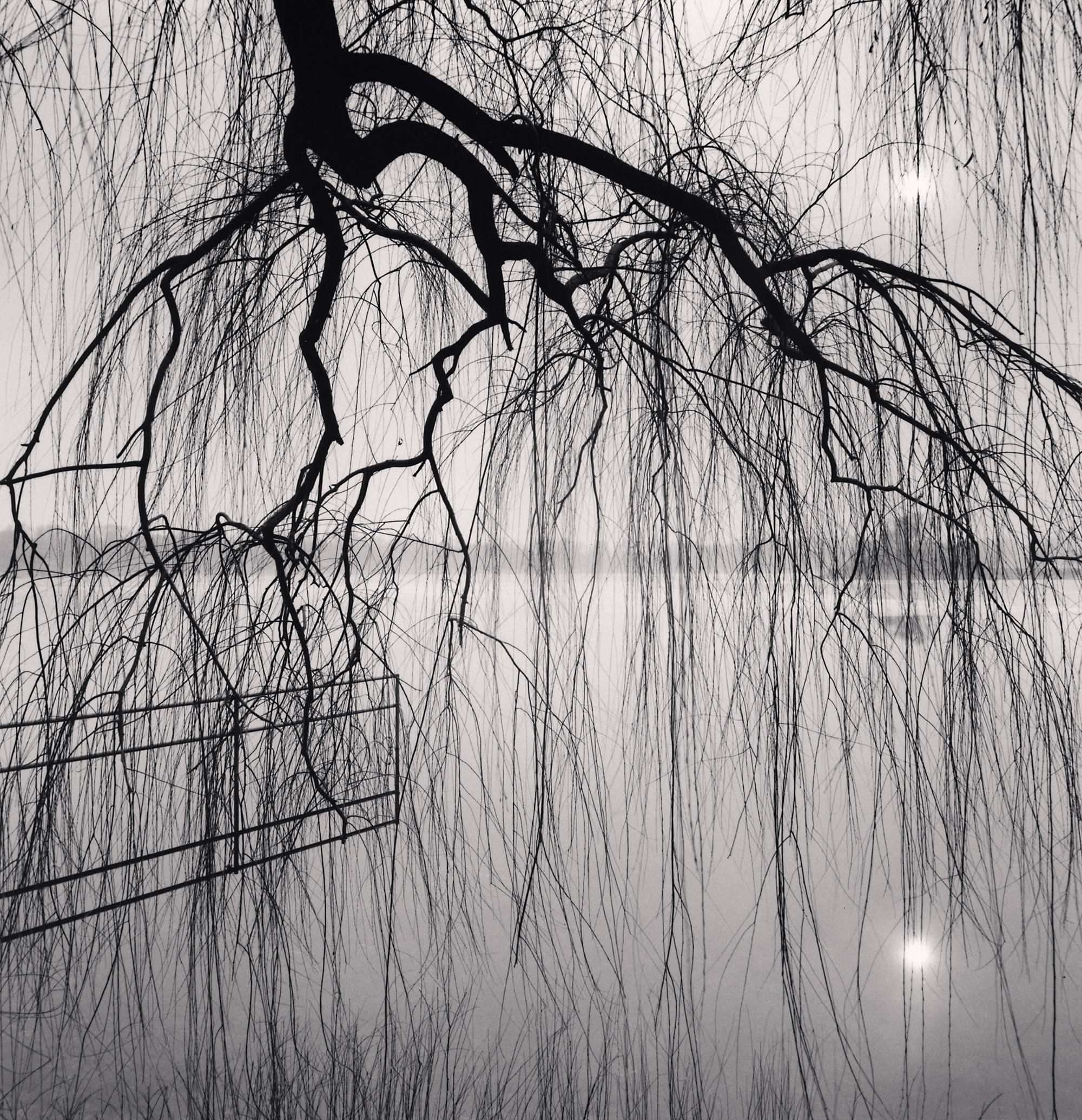 Michael Kenna Landscape Photograph - Lake Tree, Beihai Park, Beijing, China. 2008