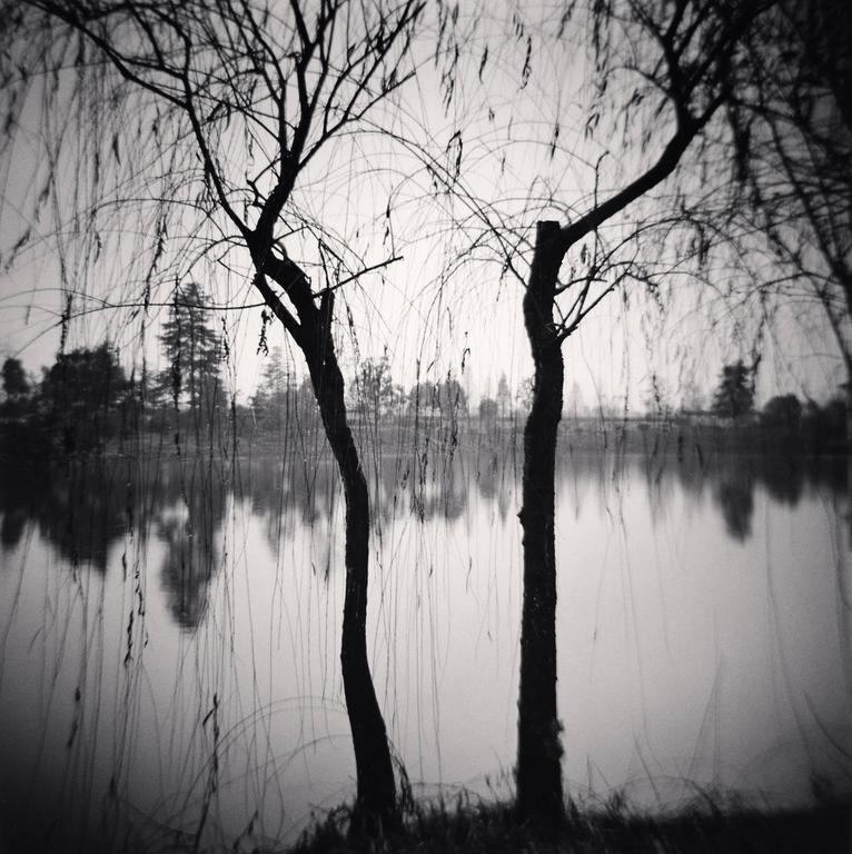 Michael Kenna Black and White Photograph - Afternoon Trees, Shexian, Anhui, China. 2008