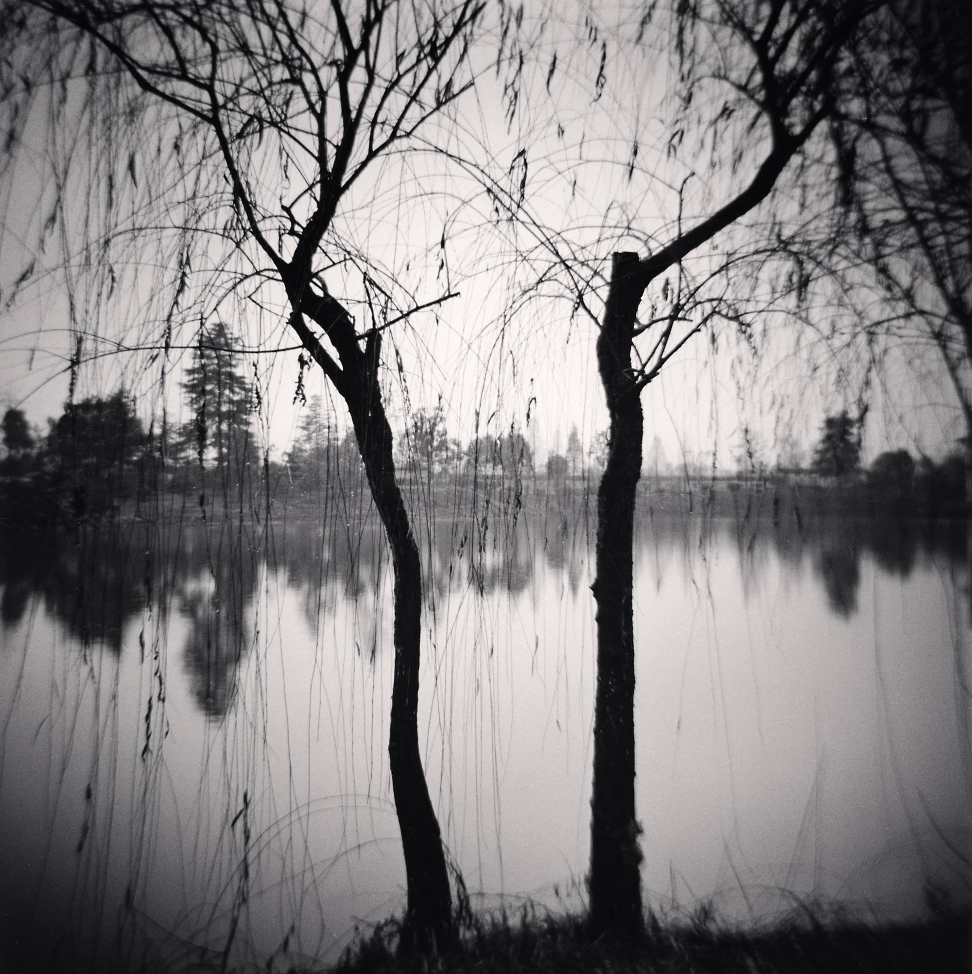 Michael Kenna Landscape Photograph - Afternoon Trees, Shexian, Anhui, China. 2008