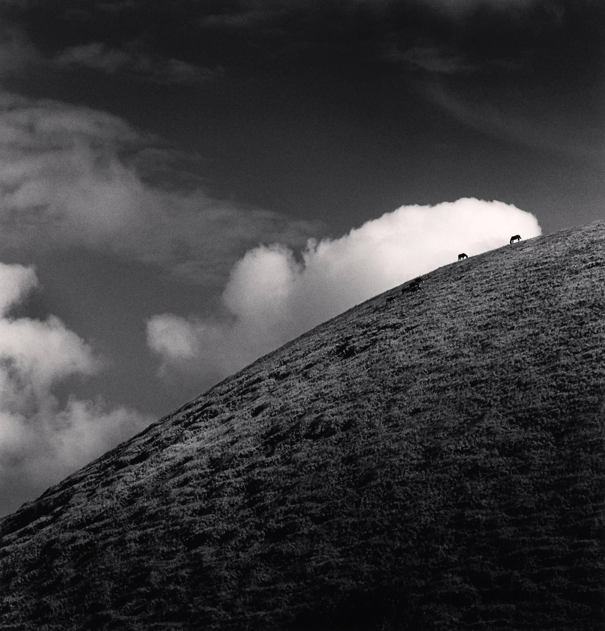 Michael Kenna Landscape Photograph - Seven Horses, Iti Maunga, Easter Island. 2001