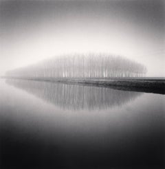 Copse Reflection, Vendramin, Venetien, Italien