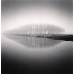 Copse Reflection, Vendramin, Veneto, Italy 9
