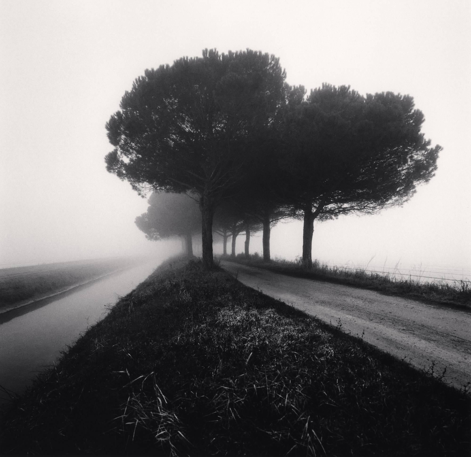 Michael Kenna Black and White Photograph - Canal and Trees, Goro Ferrara, Veneto, Italy