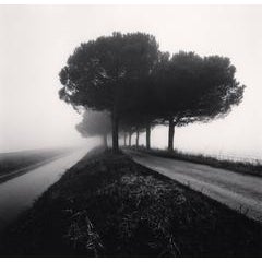 Canal and Trees, Goro Ferrara, Veneto, Italy 11