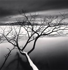 Kussharo Lake, Study 11, Hokkaido, Japan 5