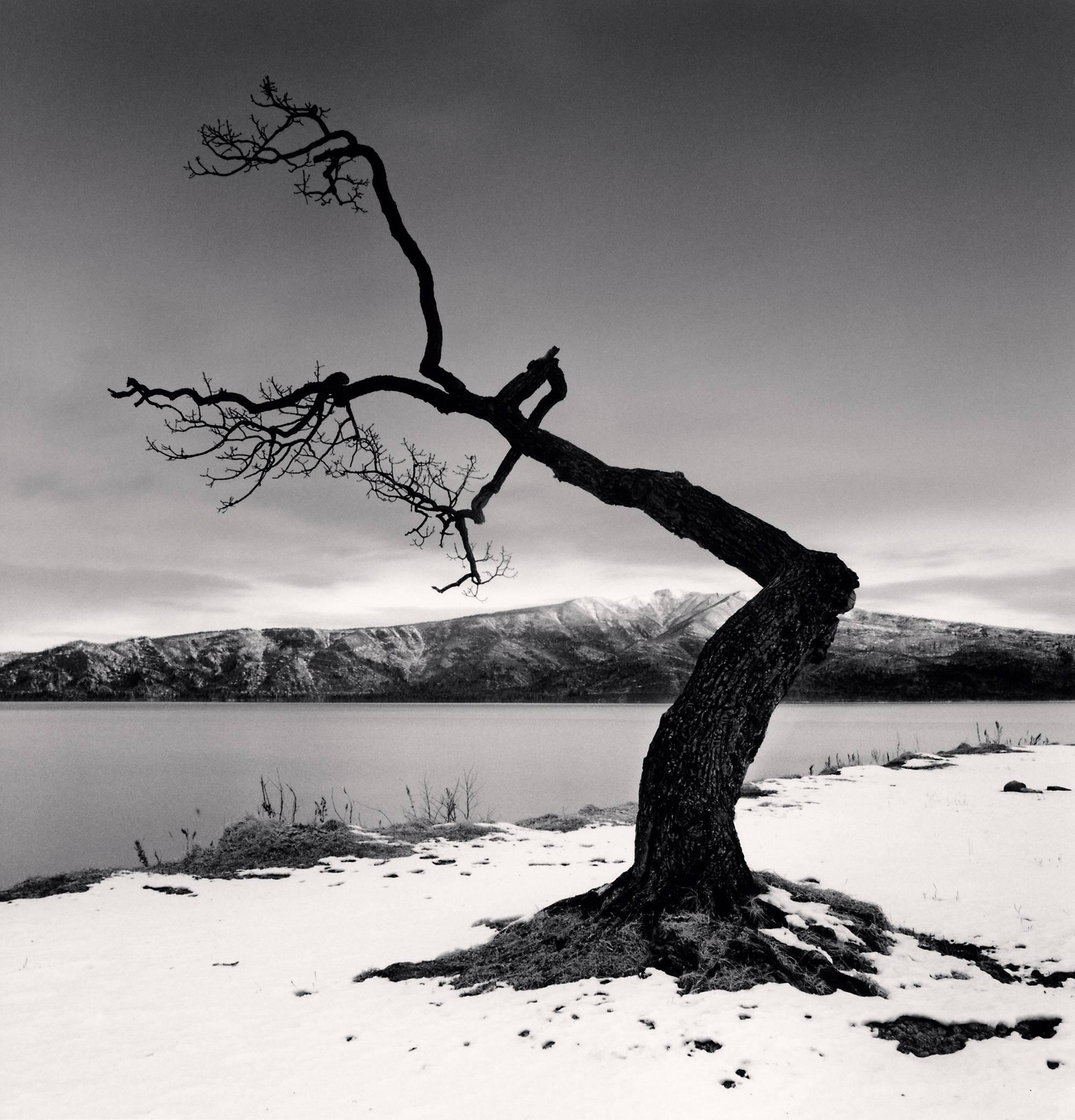 Michael Kenna Black and White Photograph - Kussharo Lake Tree, Study 12, Kotan, Hokkaido, Japan