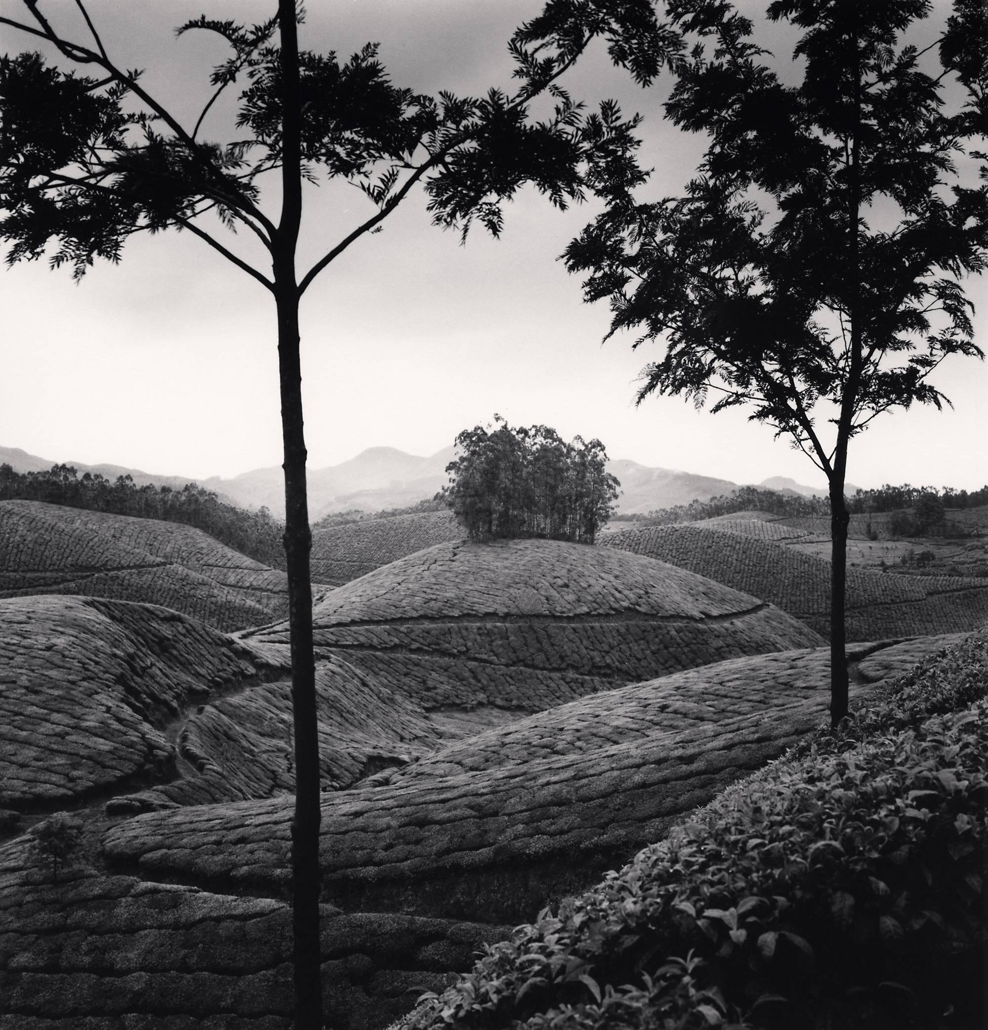 Michael Kenna Black and White Photograph – Tee-Nachlässe, Studie 1, Munnar, Indien