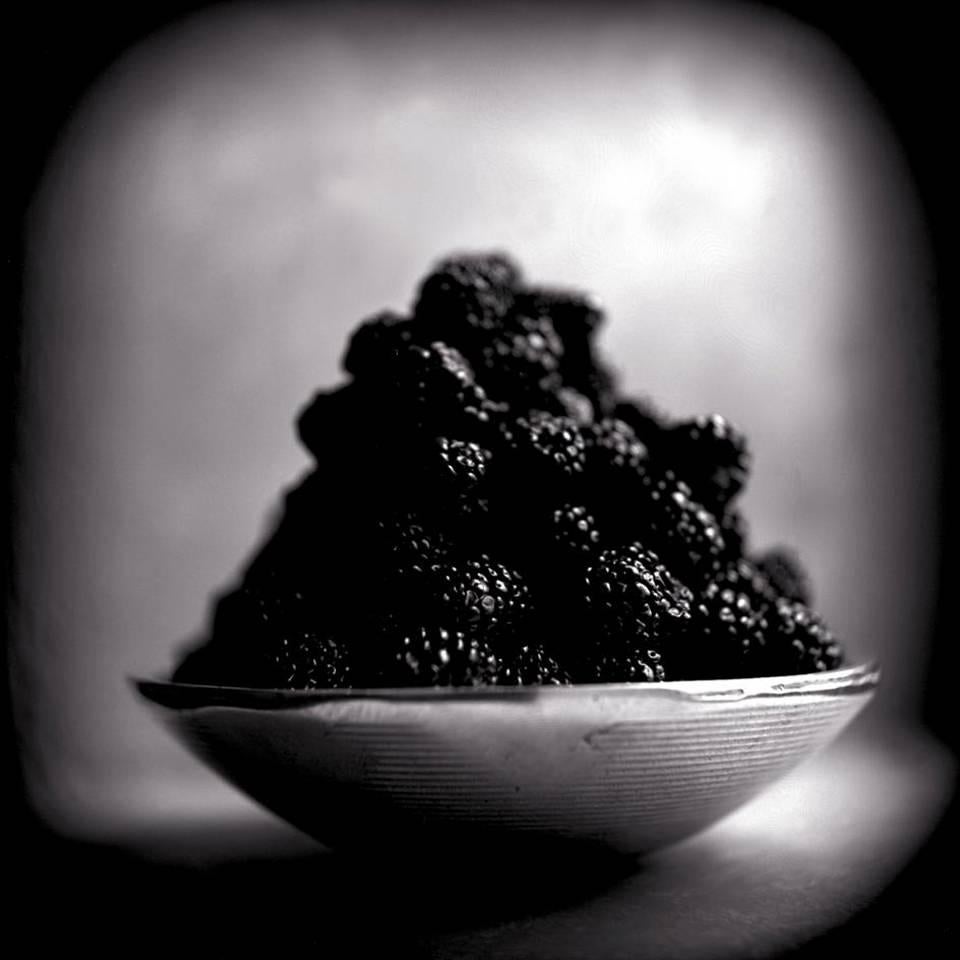 Keith Carter b.1948 Still-Life Photograph - Blackberries, silver gelatin print, signed and numbered, limited edition, signed