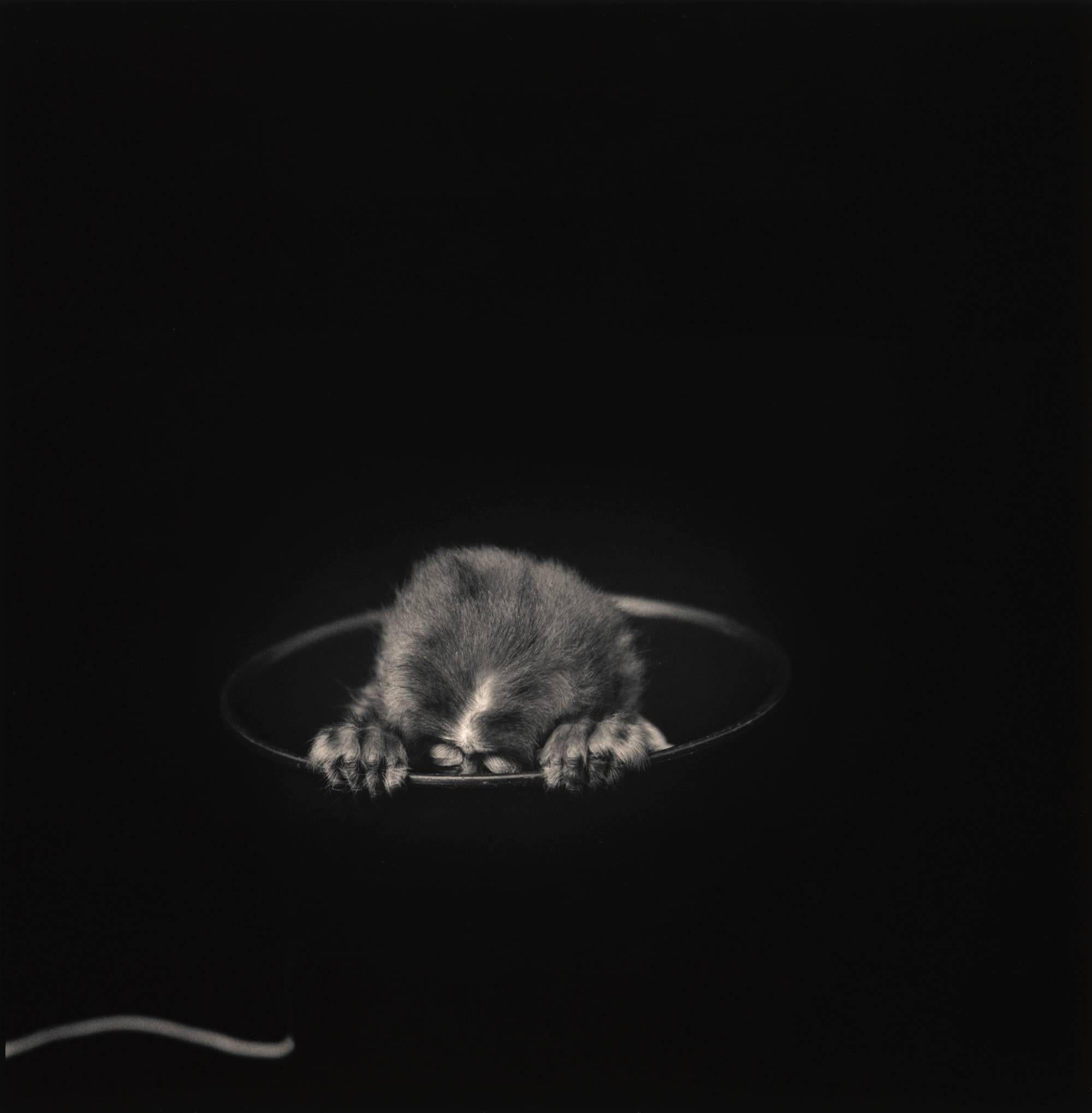Black and White Photograph de Hiroshi Watanabe - Grande en cubo