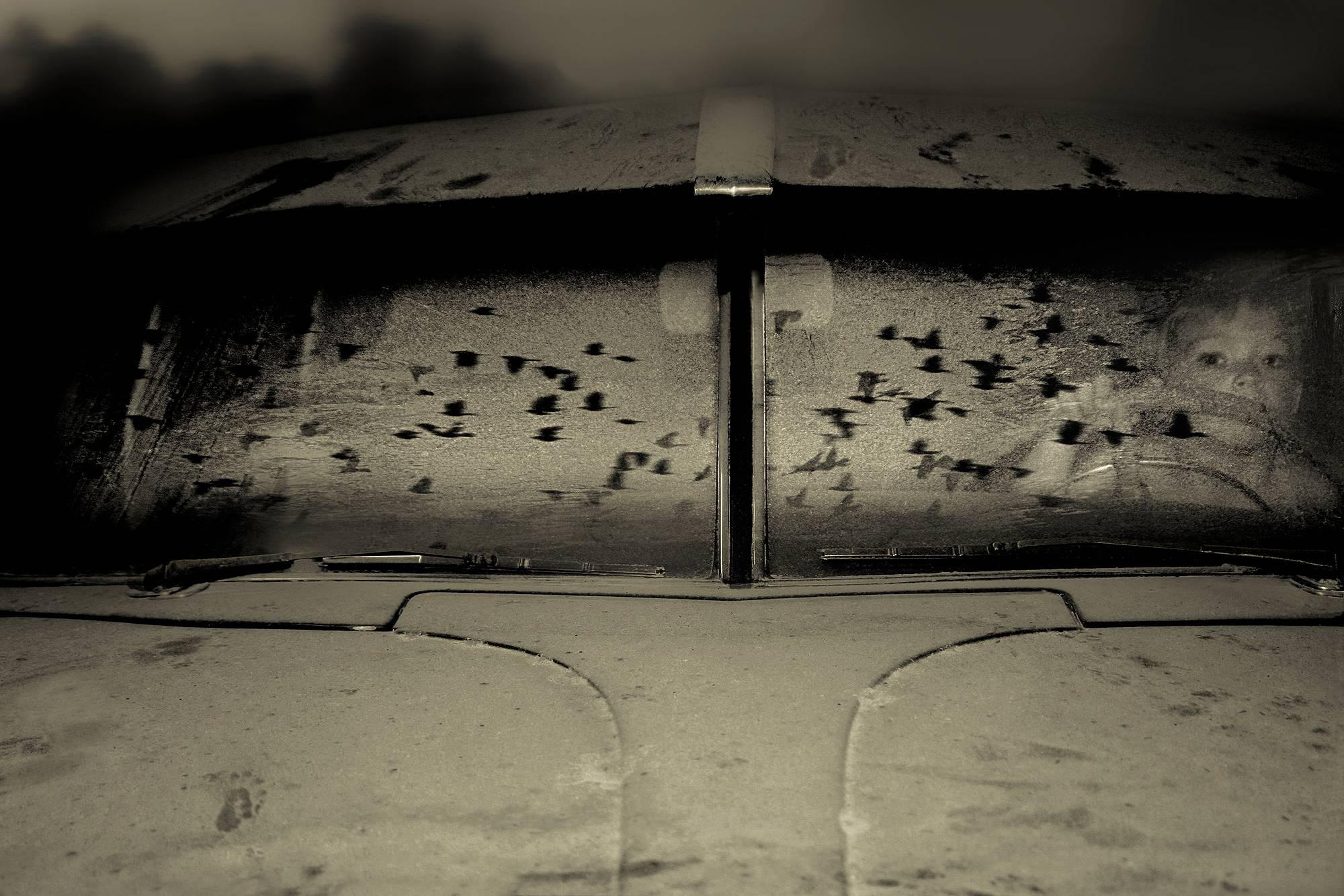 Angela Bacon-Kidwell Black and White Photograph – Nachtjagd
