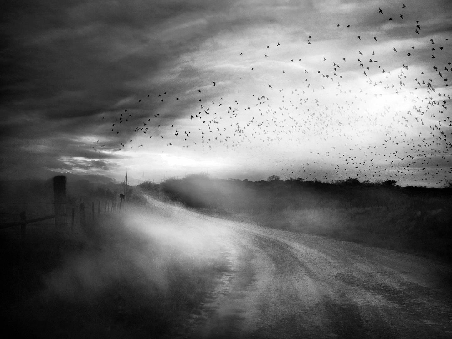 Black and White Photograph Angela Bacon-Kidwell - Jusqu'au moment où elle disparaîtra