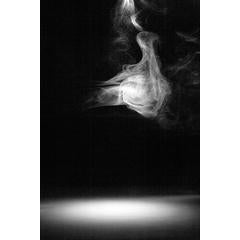Ephemeral Moments (06 7052) 9