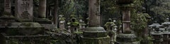 Toward Kasuga Shrine, Along Pathways of Lanterns 