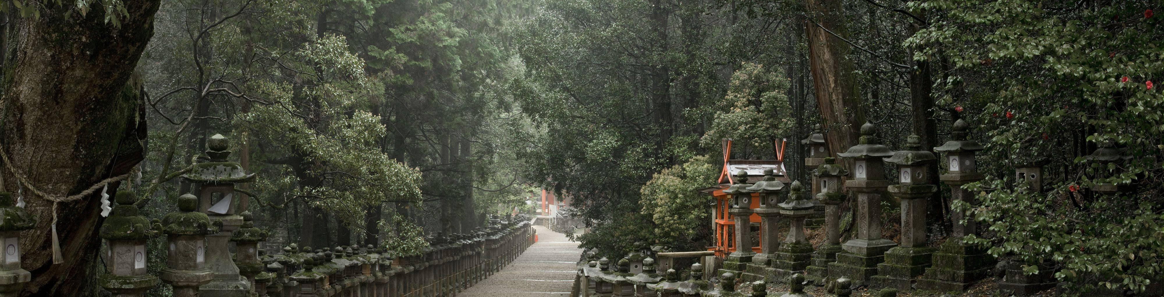 Toward Kasuga Shrine, Along Pathways of Lantern 